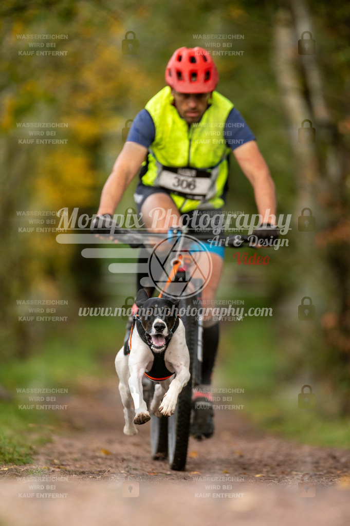 TSB_2023_E4_Bike-9 | PayLife