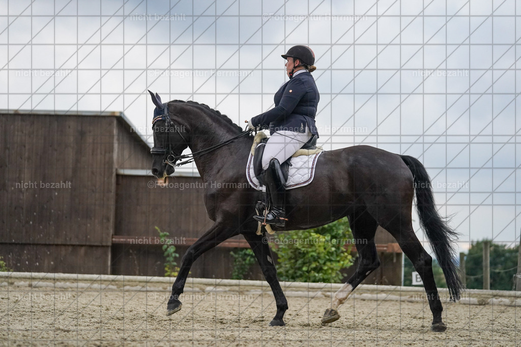 20230826-FAH06345 | Forstinning, 2023, Dressurturnier, Turniersportbilder, Turnierfotografen Bayern, Fotoagentur Herrmann, Reitsportfotografie, Turnierbilder