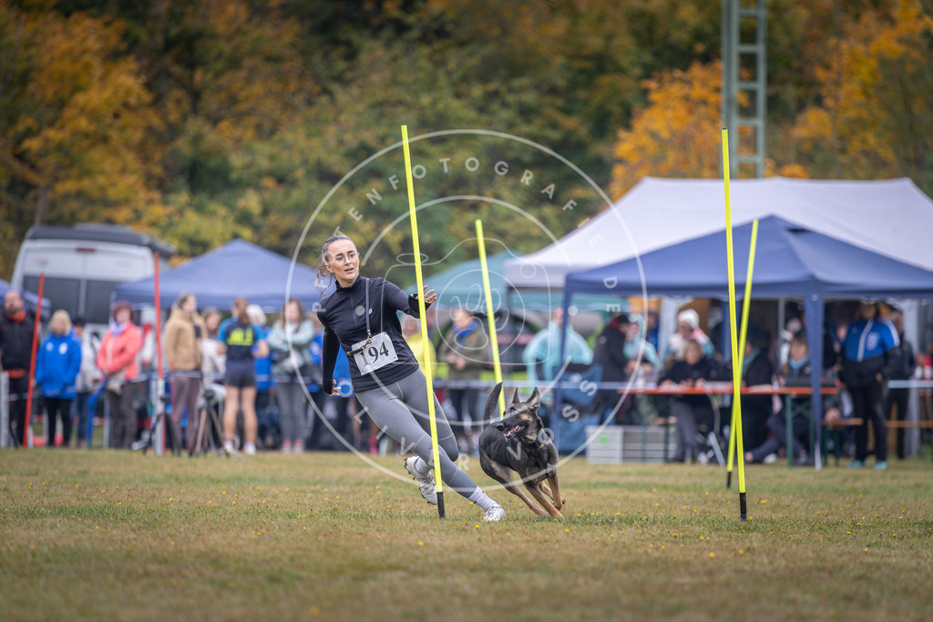 Pfotenfotografie_DV3A0956 | Hundefotografie, Tierfotograf, Pfotenfotografie, Fotoshooting Hund, Hunde Portrait, Hundesport, Hundeportraits, Heideshooting, Hunde, Sportfotograf, Hundefotograf, Turnierhundsport, THS,  - Realisiert mit Pictrs.com