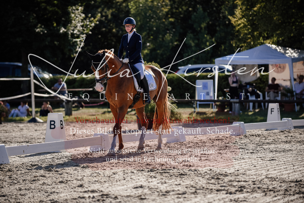 DSC_0470 | Pferde- und Turnierfotografie in Westsachsen. Pferdeportraits, Auftragszeichnungen und intuitive Kunst.