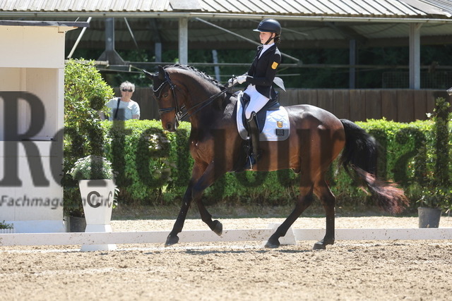 Böblingen_2025_Prfg.Nr.08_Dressurprüfung_Kl.M_Nürnberger Burgpokal_Lara Theis_FBW Felipe (5) | Alle Fotos der Reiterjournal Fotografin Doris Matthaes im Reiterjournal Online-Fotoshop. - Realisiert mit Pictrs.com