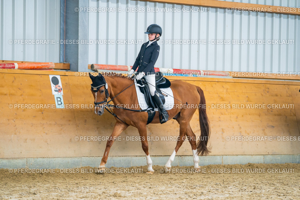 DSC01294 | Pferdegrafie