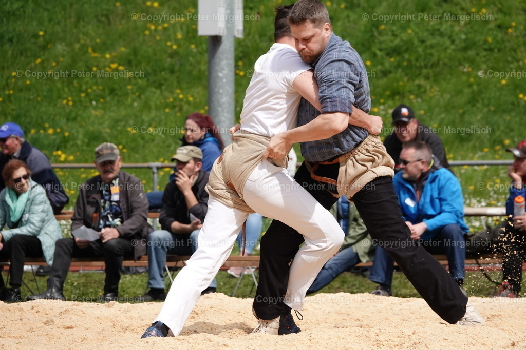 DSC03117 | Schwingen - Realisiert mit Pictrs.com