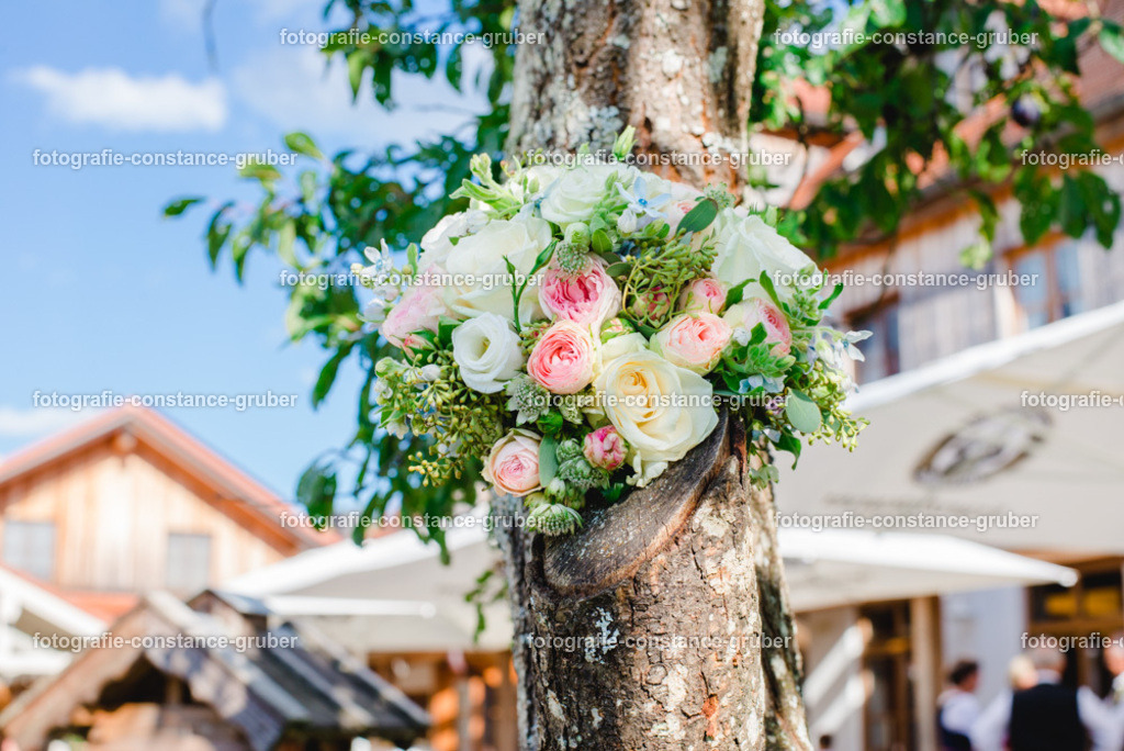 1015 | Fotografie Constance Gruber - Realisiert mit Pictrs.com