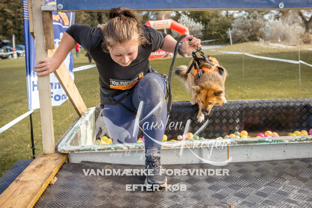 1459_ZZ95515-2 | kk-dogfotos