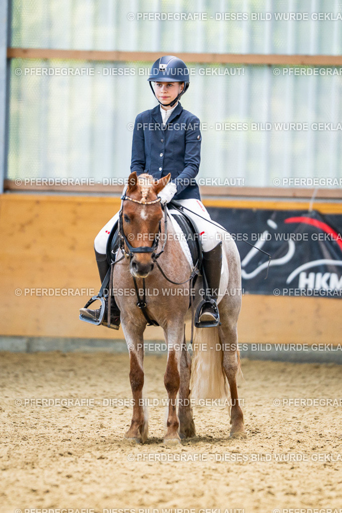 DSC02711 | Pferdegrafie