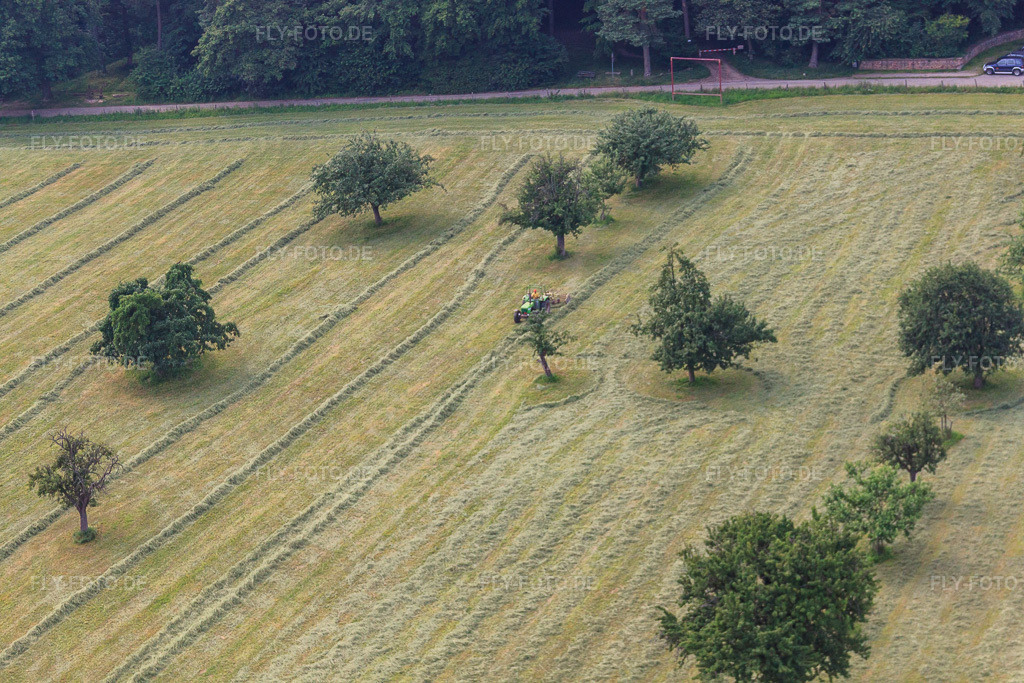 Luftbild: Mäharbeiten auf dem Bierhelderhof im Ortsteil Rohrbach in Heidelberg im Bundesland Baden-Württemberg in Deutschland. Foto: IMG_29966.jpg vom 02.07.2010 durch Werner Riehm/FLY-FOTO.de