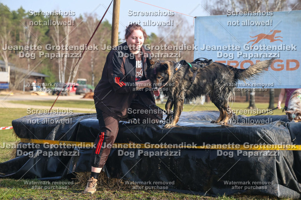Dog Paparazzi - Strongdog North Mrz26-1886 | Dog Paparazzi Jeanette Grottendiek Fotografie & Videografie - Realisiert mit Pictrs.com