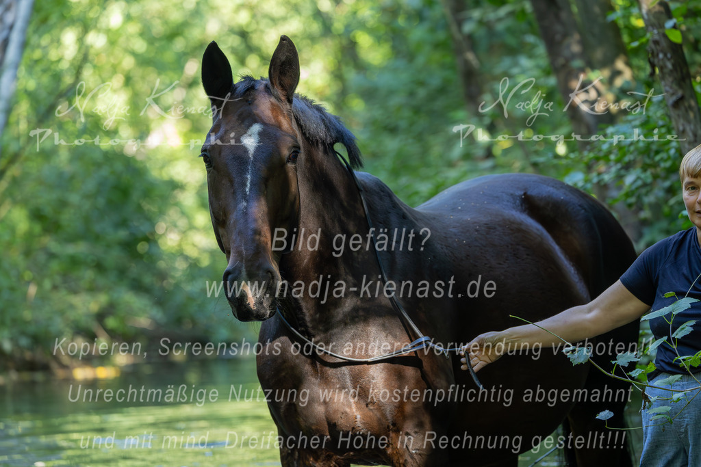 Auswahl_Photographie_Nadja_Kienast__IE_8410-Verbessert-RR | Ich biete Ihnen einzigartige und individuelle Fotoshootings mit Ihren Tieren.
In individuellen Coachings lernen Sie, wie sie von Ihrem Pferd, Ihrer Katze, Ihrem Hund oder einfach Ihrem persönlichen Lieblingstier eindrucksvolle Fotos machen können.