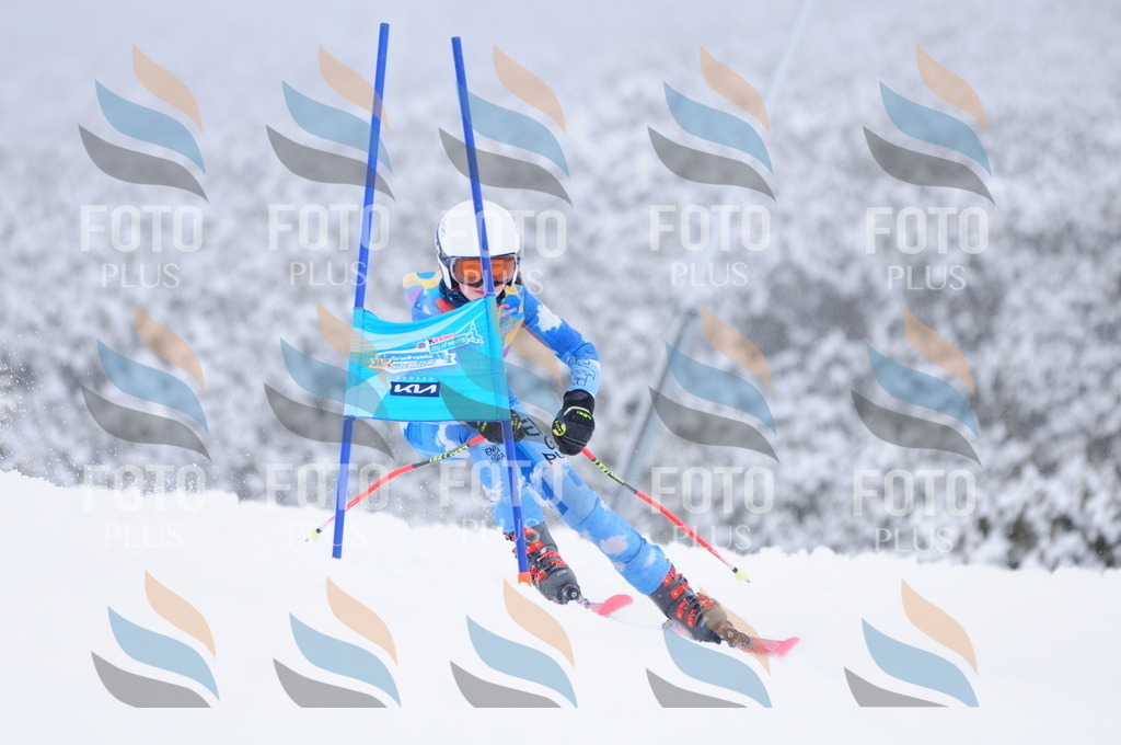 C3776 | holidayphoto