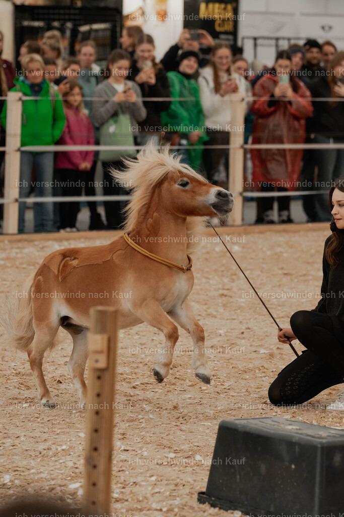 Showprogramm-62 | working equitationturnier fotograf videograf stoibphotography marixx film working equitation deutschland reitsport turnierfotografie eventfotografie equestrian events