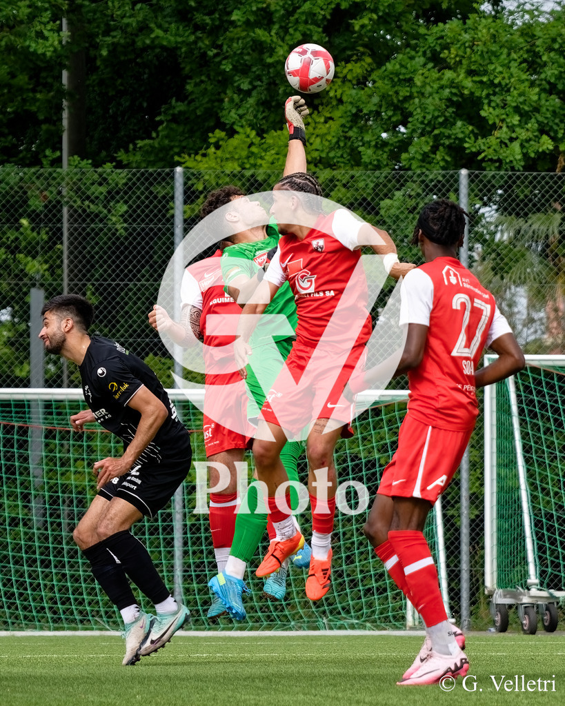 DSC_9468 | Velletri Photo