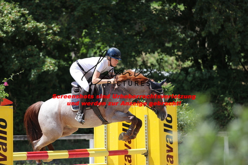 IMG_0101 | lmwpictures - Realisiert mit Pictrs.com