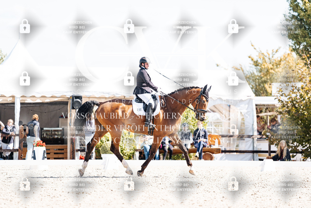 CK903258 | Turnierfotografie Pferdefotografie Trier Rheinland-Pfalz Pferdesport Reitsport Tierfotografie Sportfotografie Pferdevideo Pferdevideografie Equestrianvideography equestrianphotography  - Realisiert mit Pictrs.com