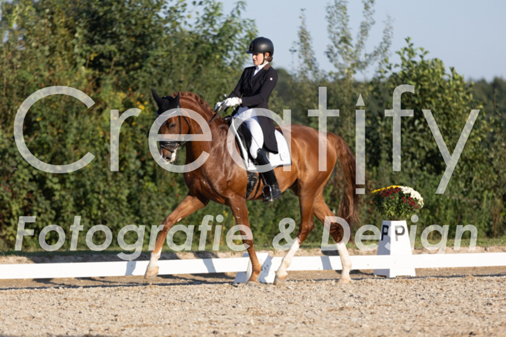 IMG_1347 | Creatify Fotografie