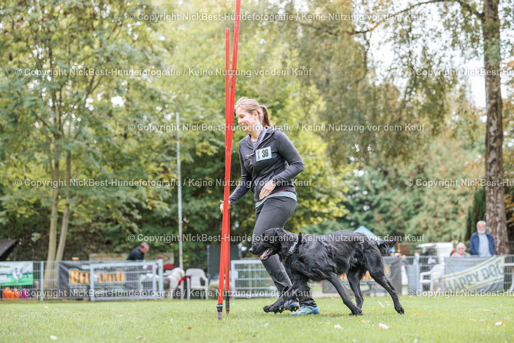 THS-HSV-Blumenthal-2026-Nickbest-Hundefotografie-2037 | Dein Hund! Dein Moment! Deine Erinnerungen! Hundefotografie in Bremen Blumenthal. Ich fange die besonderen Momente deines Vierbeiners ein – ob Indoor mit Blitzanlage oder in der freien Natur. Sicher dir dein Moment und dein Termin für eure Erinnerungen.