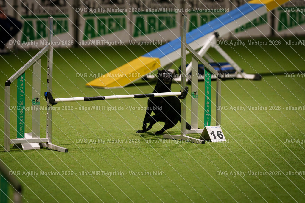 allesWIRTHgut_Tierfotografie-DVG_Agility_Masters_2026-17_07-7R505123 | Professionelle Tierfotografie in Mönchengladbach von Daniel Wirth (allesWIRTHgut). Liebevolle & natürliche Bilder von Hunden & Katzen für unvergessliche Erinnerungen.
