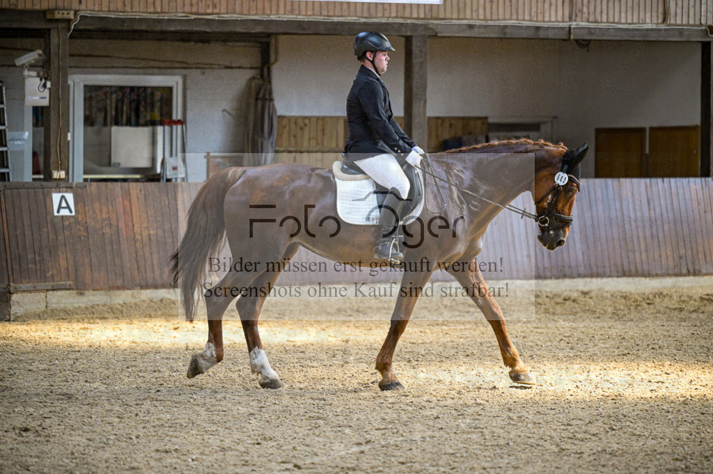 Reitturnier Voxtrup | Entdecke hochwertige Reitturnierfotos von Foto Oger. Professionell, emotional und authentisch – jetzt Lieblingsmomente im Shop bestellen.Deutschlandweite Turnierfotografie. - Realisiert mit Pictrs.com