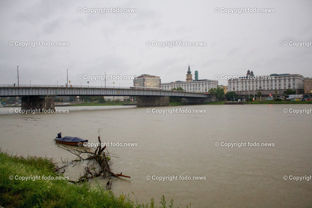 Linz_ Hochwasser_ 28.08.2023-10 | 28.8.2023, Linz, AUT, Urfahr, Hochwasser, im Bild Treibholz in der Donau, hoher Wasserpegel