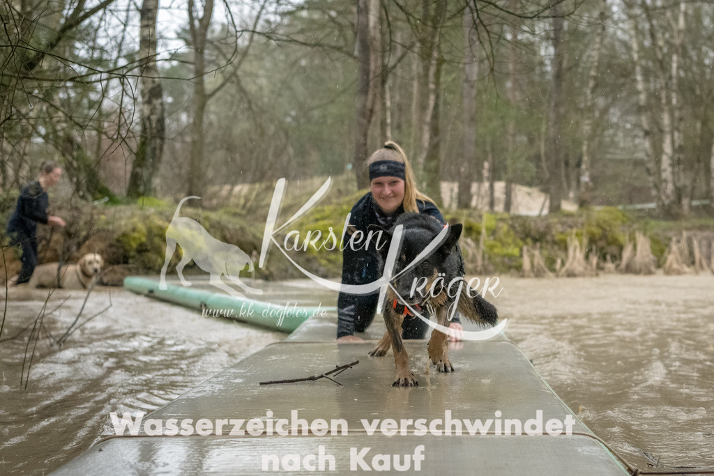 1049_ZZ93493-Bearbeitet | kk-dogfotos