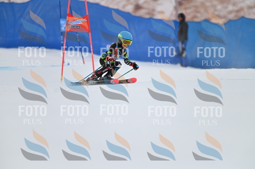 BGV_2105 | holidayphoto