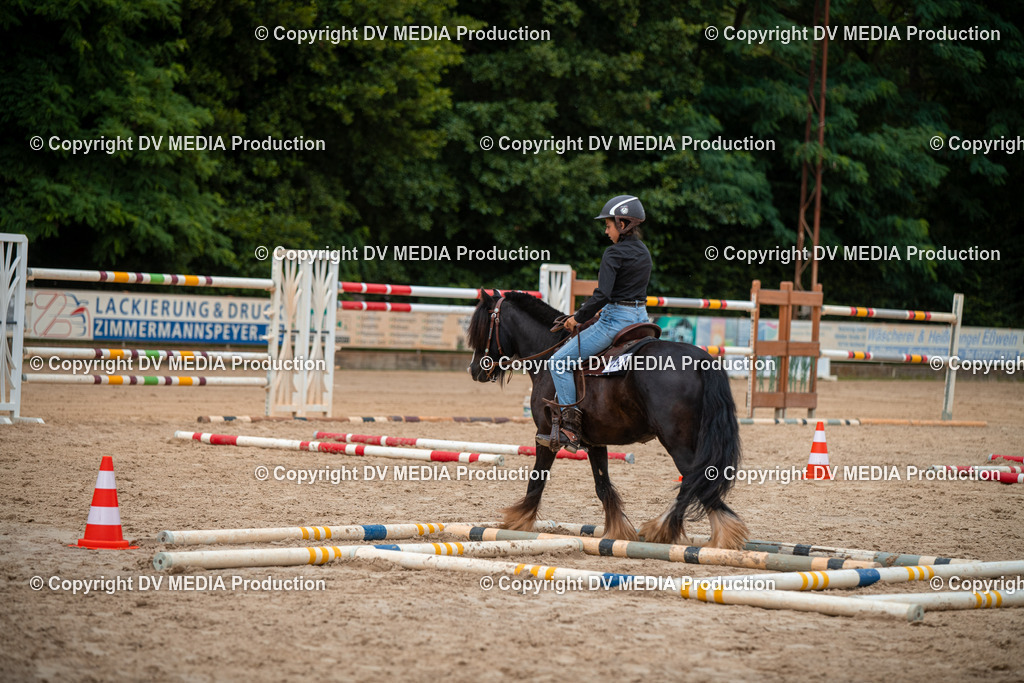 ZS2_8036 | dv-media-shop - Realisiert mit Pictrs.com