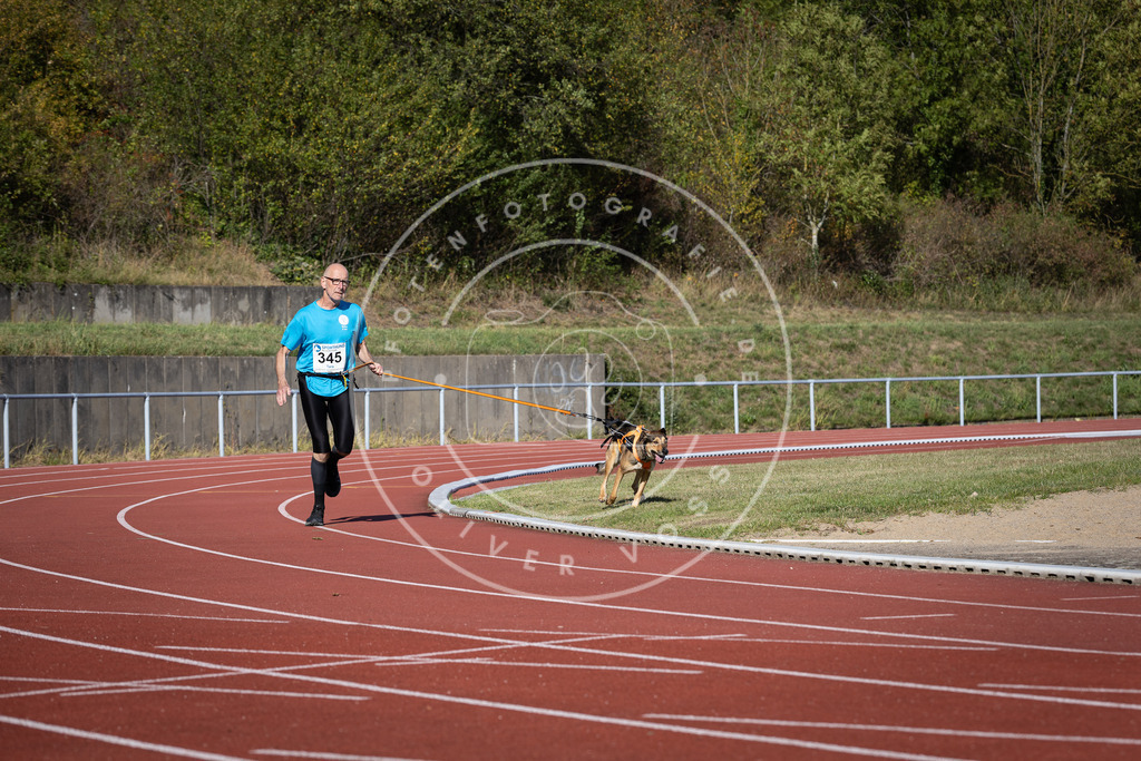 Pfotenfotografie_DV3A8582 | Hundefotografie, Tierfotograf, Pfotenfotografie, Fotoshooting Hund, Hunde Portrait, Hundesport, Hundeportraits, Heideshooting, Hunde, Sportfotograf, Hundefotograf, Turnierhundsport, THS,  - Realisiert mit Pictrs.com