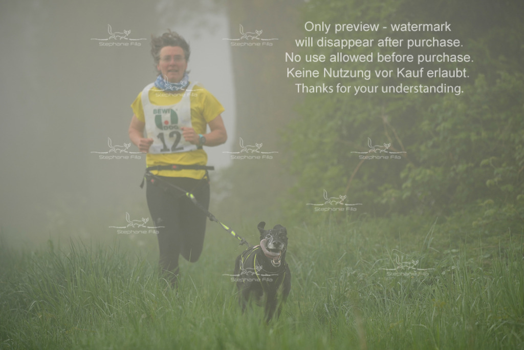 SA_GL2-64 | stephaniefillaphotographie - Realisiert mit Pictrs.com