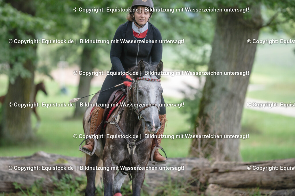 20250726_Vielseitigkeitslehrgang-Marbach_0209 | Foto: Thomas Hartig