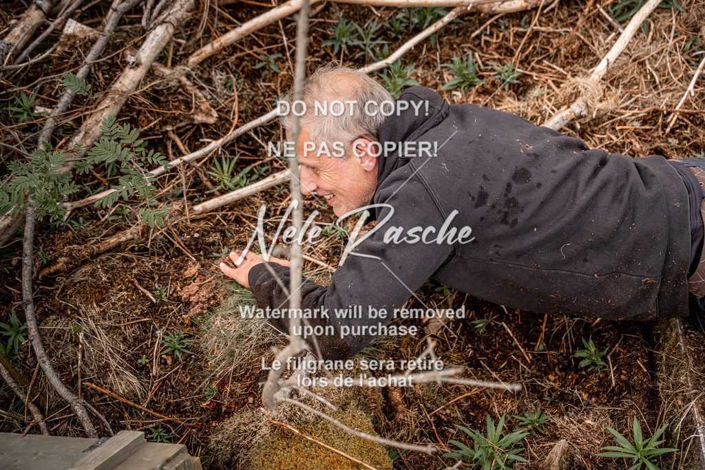 nelerasche_TheGame2026_SaDangerZone_44 | nelerasche