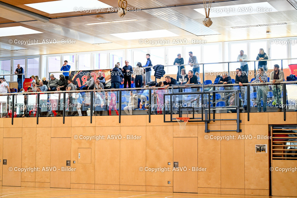 ASVÖ_ Fussball Nachwuchs Hallenturnier 2026_ SV Gallneukirchen_ 28.02.2026-235 | 28.02.2026, Gallneukirchen, AUT, ASVÖ, Fussball Nachwuchs Hallenturnier 2026, SV Gallneukirchen im Bild Teilnehmer U7©Harald Dostal / fodo.media - Realisiert mit Pictrs.com