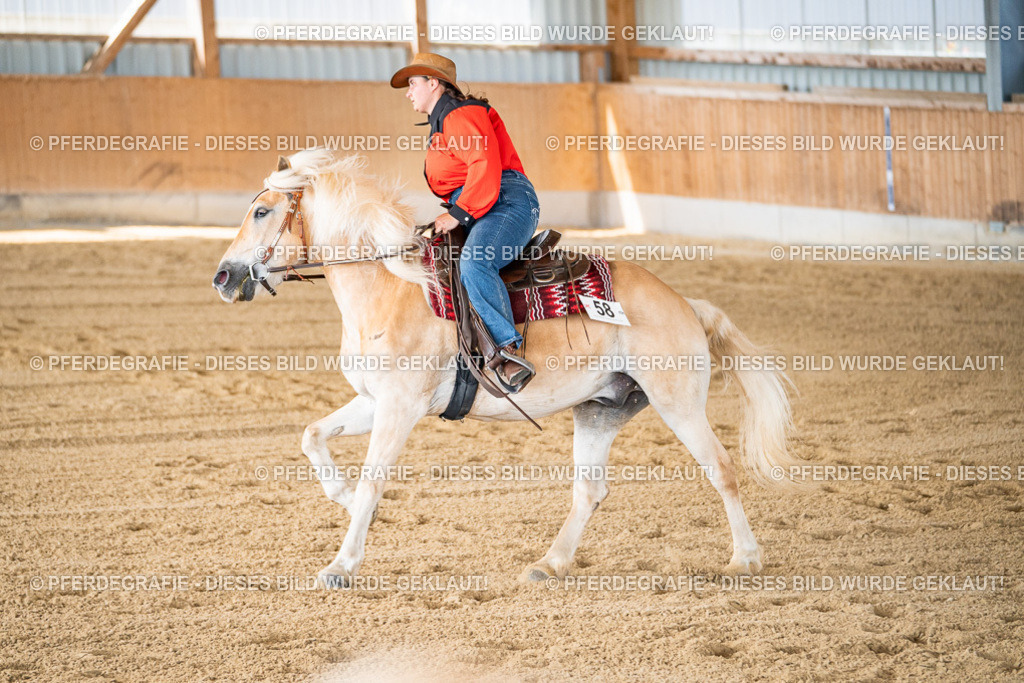 DSC02818 | Pferdegrafie