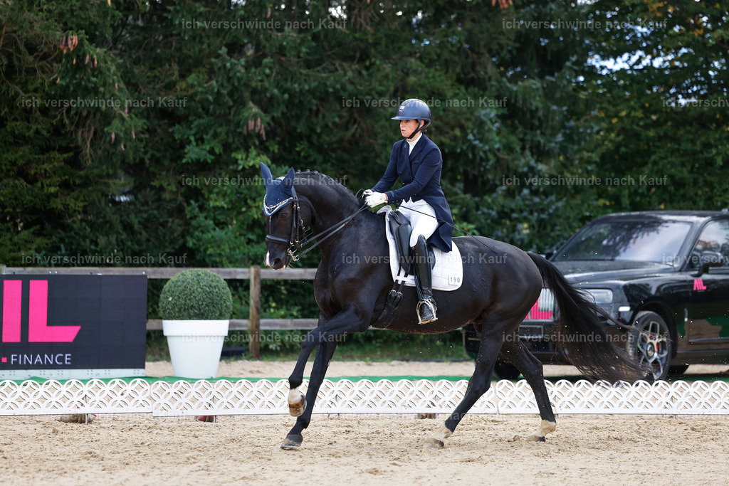 10-190-ST.GEORG SPECIAL -StoibPH-3226 | working equitationturnier fotograf videograf stoibphotography marixx film working equitation deutschland reitsport turnierfotografie eventfotografie equestrian events