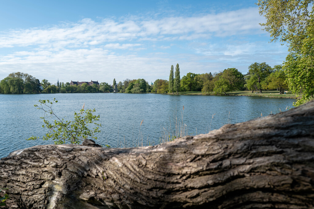 Potsdam (76) | hgt-foto