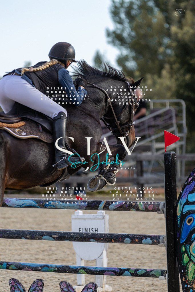 IMG_0629 | s-jay-photography - Realisiert mit Pictrs.com