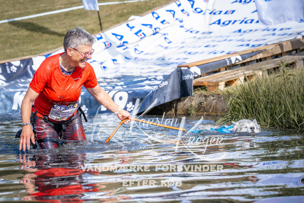 _ZZ991650821 | kk-dogfotos