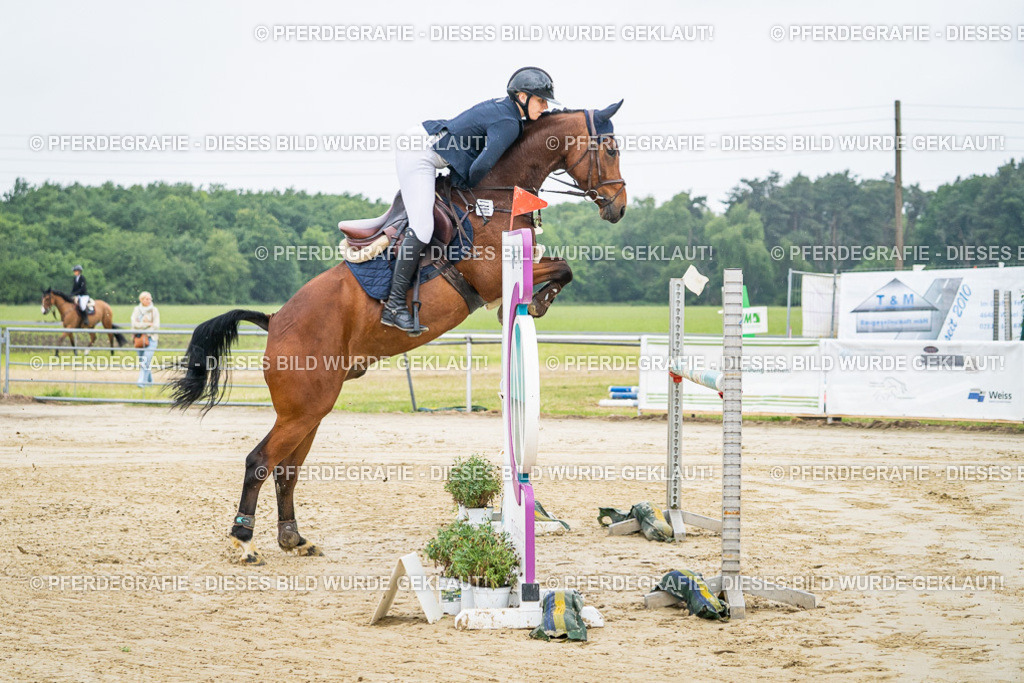 DSC01192 | Pferdegrafie