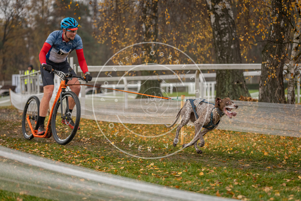 CaniXpix_DV3A8268 | Hundefotografie, Tierfotograf, Pfotenfotografie, Fotoshooting Hund, Hunde Portrait, Hundesport, Hundeportraits, Heideshooting, Hunde, Sportfotograf, Hundefotograf, Turnierhundsport, THS,  - Realisiert mit Pictrs.com