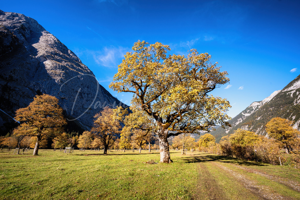 Großer Ahornboden | Herbst am Großen Ahornboden