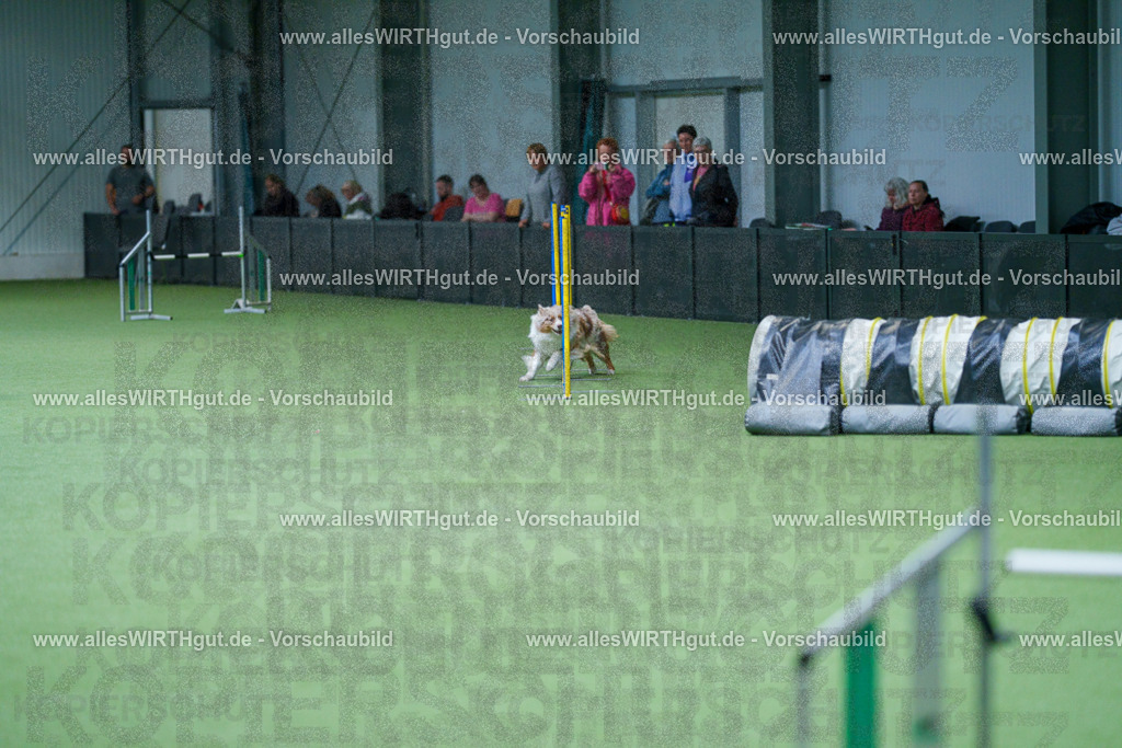 @allesWIRTHgut_Tierfotografie - www.allesWIRTHgut.de - 2604251051-7R500347 | Professionelle Tierfotografie in Mönchengladbach von Daniel Wirth (allesWIRTHgut). Liebevolle & natürliche Bilder von Hunden & Katzen für unvergessliche Erinnerungen.