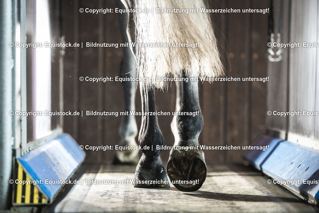 20200118_Laufband_0037 | Foto: Thomas Hartig