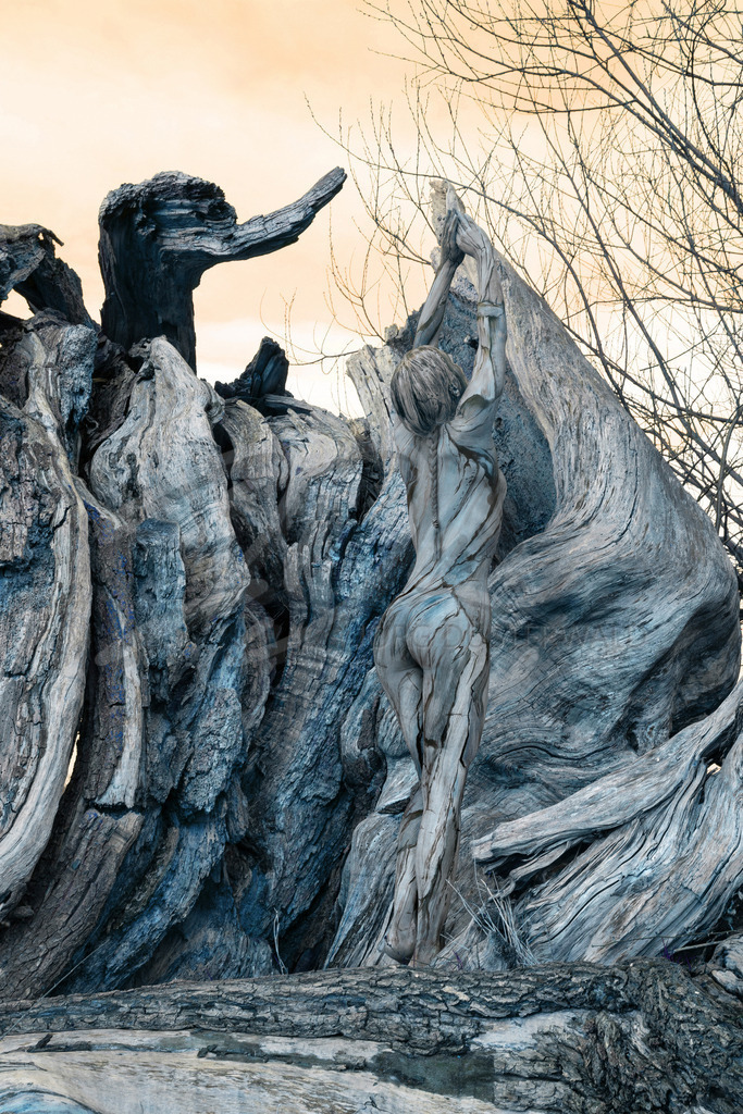 NatureArt-BROKENTREE_8987c3 | blau gefärbtes Holz | #007 | Modell: Liza | Foto: Dirk Ludwig - Realisiert mit Pictrs.com