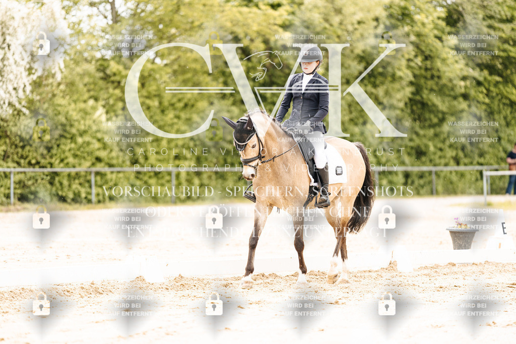 CK902867 | Turnierfotografie Pferdefotografie Trier Rheinland-Pfalz Pferdesport Reitsport Tierfotografie Sportfotografie Pferdevideo Pferdevideografie Equestrianvideography equestrianphotography  - Realisiert mit Pictrs.com
