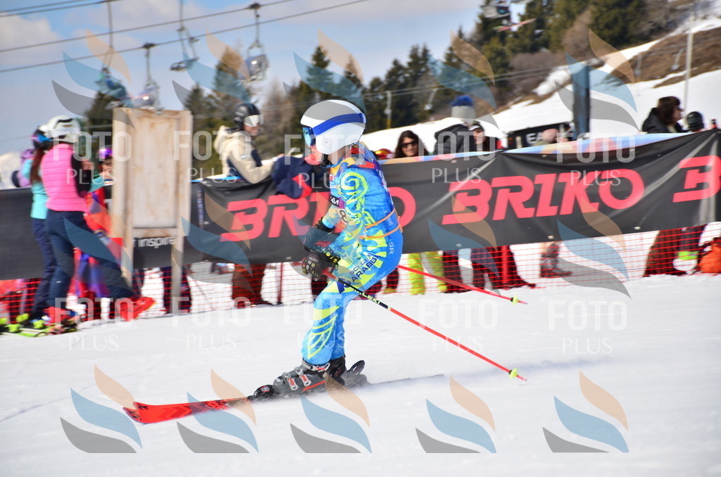 VR4_7493 | holidayphoto