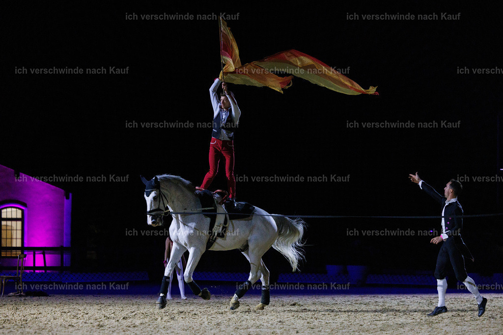 FHClassics-239 | working equitationturnier fotograf videograf stoibphotography marixx film working equitation deutschland reitsport turnierfotografie eventfotografie equestrian events