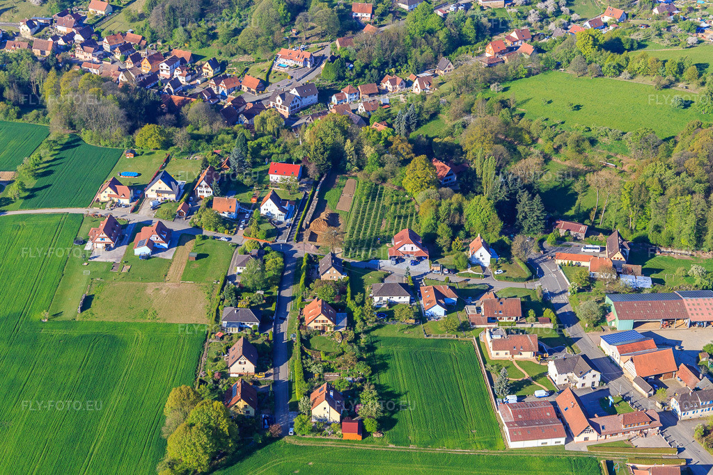Vue aérienne: Rue Louis Philippe Kamm avec Ferme du Münzhof - Famille Pflug - Foin et viande bovine - Foin et bœuf à Drachenbronn-Birlenbach dans le département Bas Rhin, France.Photo: IMG_099318.jpg prise le 30/04/2017 par Werner Riehm/FLY-FOTO.euRésolution de l'original: 4988 x 3326 px