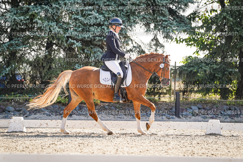 DSC00031 | Pferdegrafie