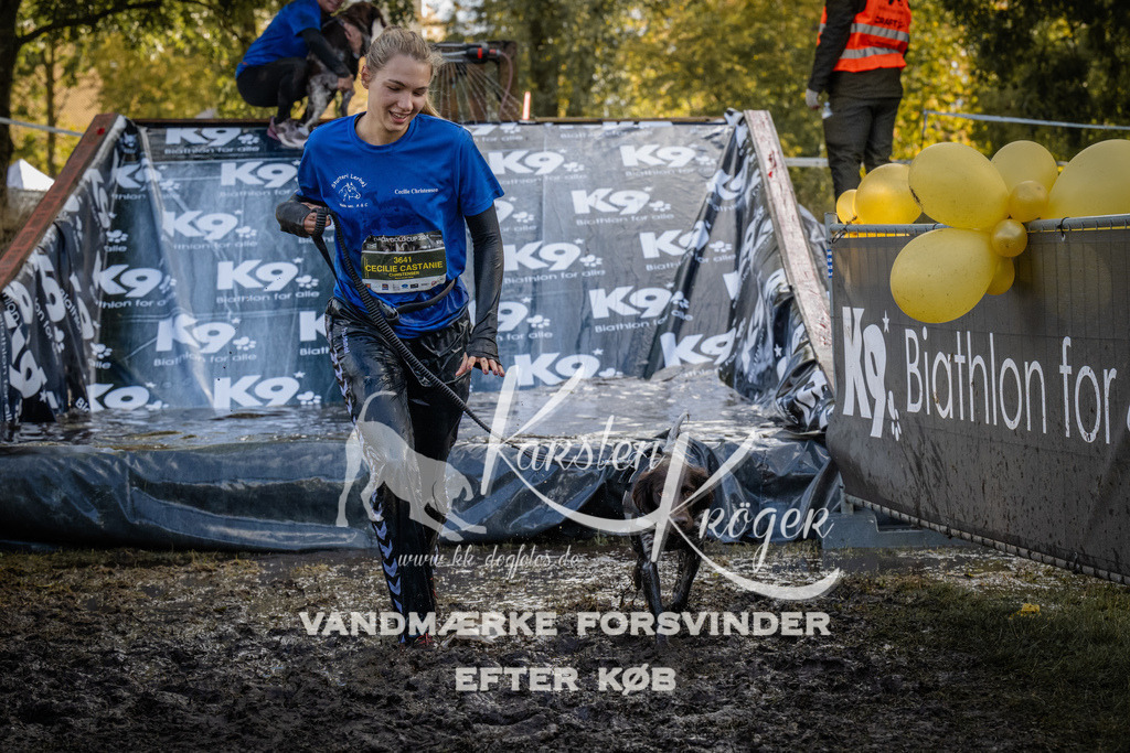 1523_ZZ94578 | kk-dogfotos