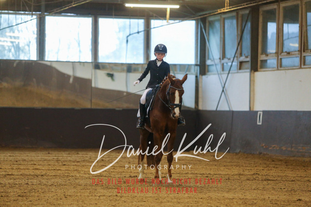 IMG_8168 | Turniersportfotografie; Pferdefotografie; Dressurfotografie
