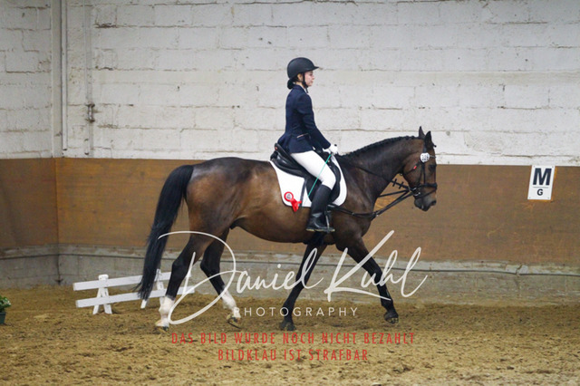 DKP43795 | Turniersportfotografie; Pferdefotografie; Dressurfotografie